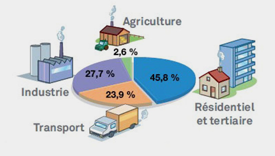 Informations labels